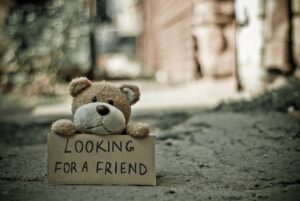 looking-for-a-friend-bear-165263