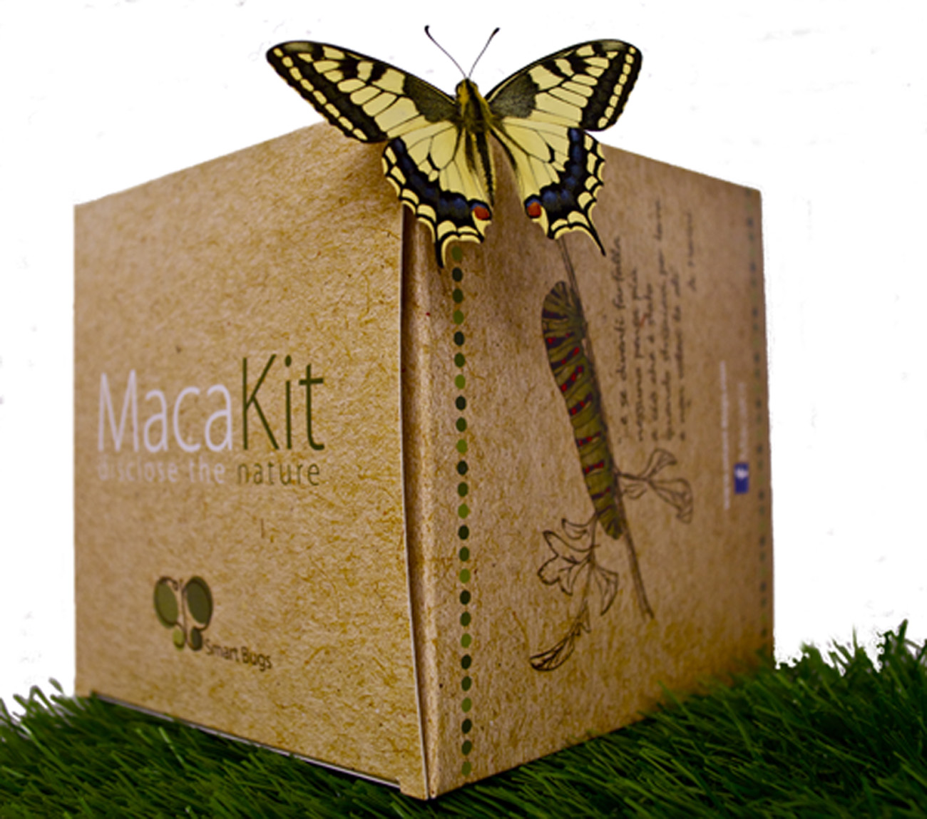 Kit SmartBugs: allevamento farfalle, bachi da seta e tanto altro