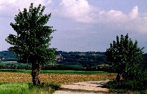 paesaggio Montello