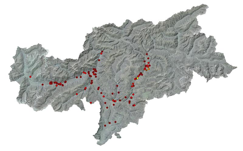 Mappa 2: stato della conoscenza sulla diffusione del grillotalpa in Alto Adige DOPO le segnalazioni fornite dalla popolazione. I punti gialli e arancioni rappresentano segnalazioni storiche o vecchie Fonte: Museo di Scienze Naturali dell'Alto Adige