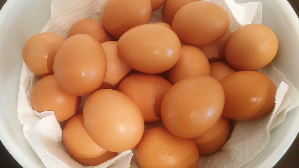 eggs-450528_960_720