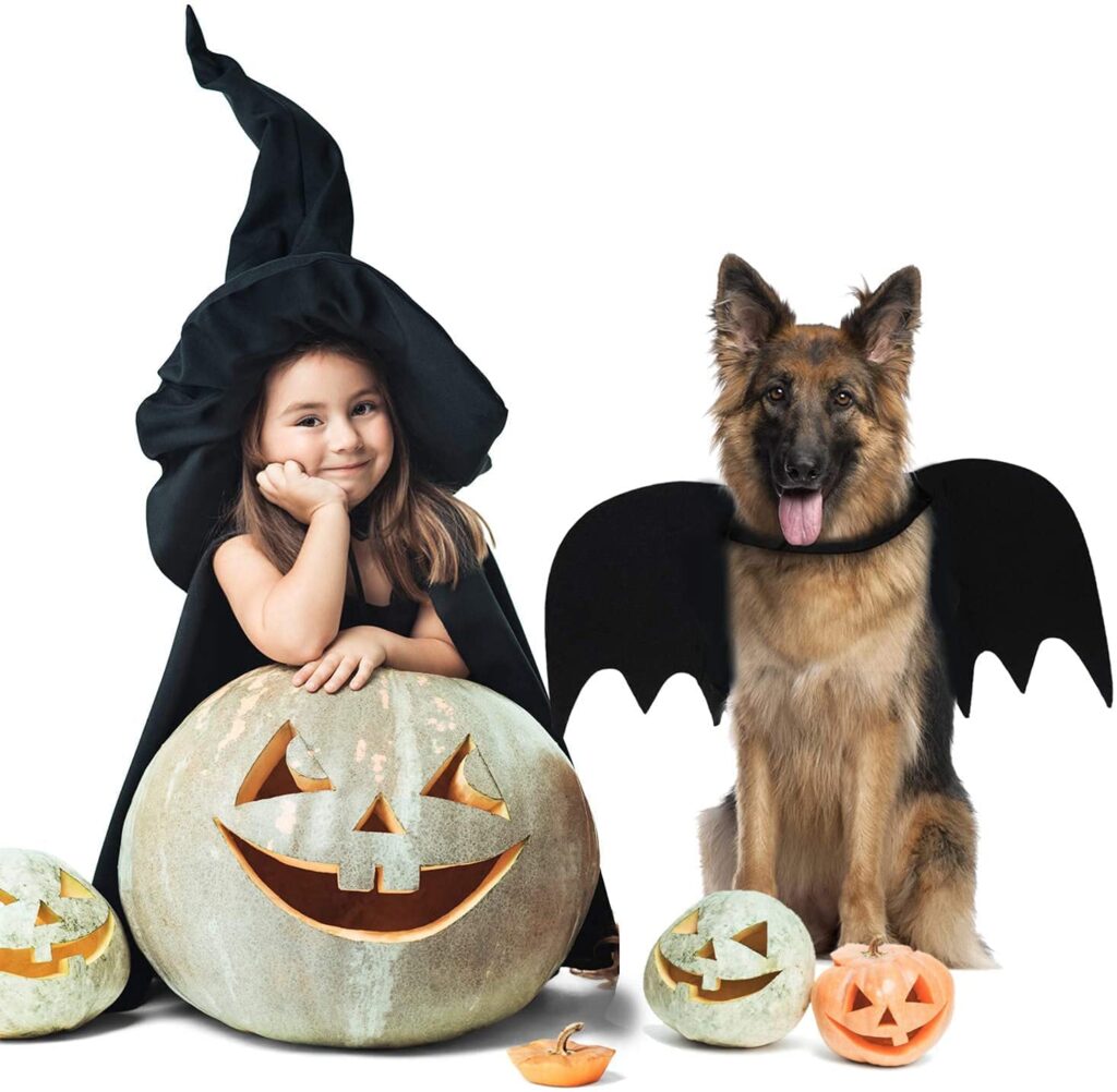 migliori travestimenti per halloween - bambini e cani