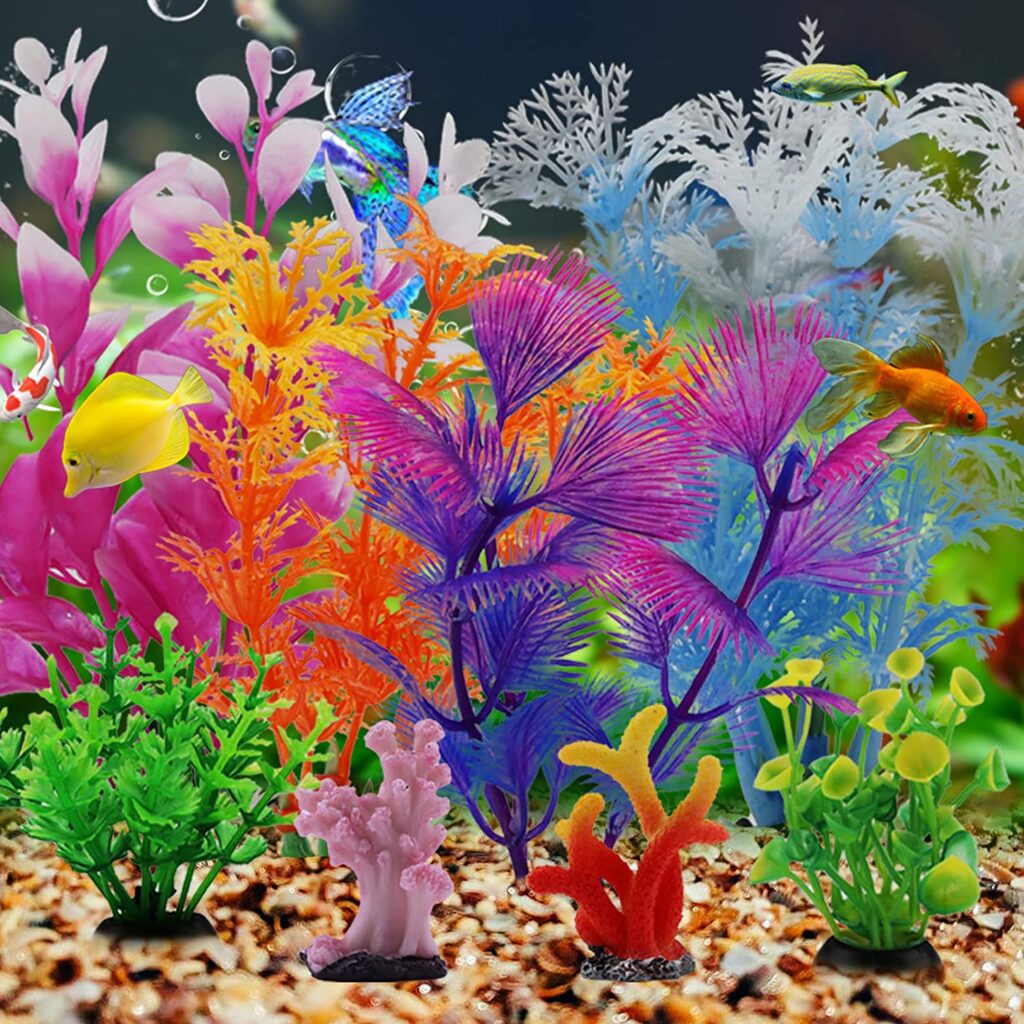 accessoires-pour-votre-animal-de-plantes-d-aquarium