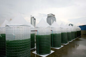 energaia-urban-farming-of-edible-algae-bangkok-skyscraper-rooftops-designboom-03