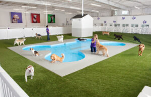 This undated artist rendering provided by Classic Communications courtesy of ARK Development depicts Paradise 4 Paws, a holding area for dogs in a new luxury terminal at New York's John F. Kennedy International Airport.  The privately owned ARK, as it's called, will handle the more than 70,000 animals that pass through JFK each year, including dogs, cats, horses, cows, birds, sloths and aardvarks. It will sit on the site of an unused cargo terminal leased from the Port Authority of New York and New Jersey that runs the airport. (Classic Communications courtesy of ARK Development via AP)