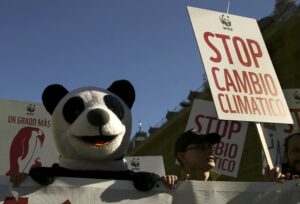 A protester dressed as a panda bear demonstrates during a rally held the day before the start of the Paris Climate Change Summit in Madrid, Spain, November 29, 2015. The placard reads: "Stop Climate Change".    REUTERS/Andrea Comas TPX IMAGES OF THE DAY