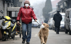 Residents stretch their legs during morning exercises on the top of Jingshan Park near the Forbidden City on a hazy day in Beijing...A man and his dog, both wearing masks, walk along a small alley on a hazy day in Beijing, February 23, 2014. China's capital Beijing, under fire to take effective measures against air pollution, raised its four-tiered alert system to "orange" for the first time on Friday, as heavy smog was forecast to roll into the city over the next three days. REUTERS/Stringer (CHINA - Tags: ANIMALS ENVIRONMENT SOCIETY TPX IMAGES OF THE DAY) CHINA OUT. NO COMMERCIAL OR EDITORIAL SALES IN CHINA