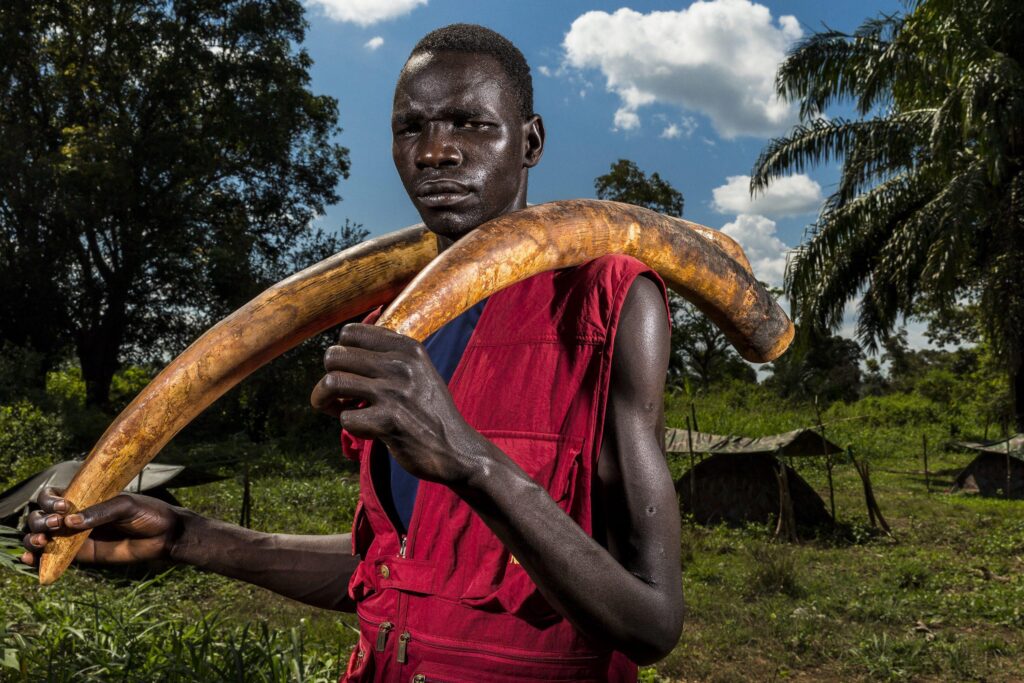 epa05167920 A handout image provided by the World Press Photo (WPP) organization on 18 February 2016 shows a picture by South African photographer Brent Stirton, Getty Images for National Geographic, from a series that won 2nd prize stories in the Nature category of the 59th annual World Press Photo Contest, it was announced by the WPP Foundation in Amsterdam, The Netherlands on 18 February 2016. The picture shows a Lords Resistance Army (LRA) fighter holding two ivory tusks. Ivory is a means of financing the LRA and is used for both food and weapon supplies. Near, Sudan, 17 November 2014.  EPA/BRENT STIRTON / HANDOUT ATTENTION EDITORS : EDITORIAL USE ONLY / NO SALES / NO ARCHIVE / NO CROPPING / NO MANIPULATING / USE ONLY FOR SINGLE PUBLICATION IN CONNECTION WITH THE WORLD PRESS PHOTO AND ITS ACTIVITIES HANDOUT EDITORIAL USE ONLY/NO SALES/NO ARCHIVES