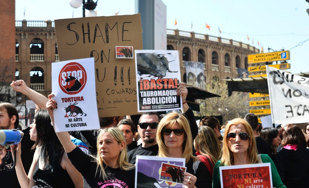 Anti bullfighting protesters hold placards during a protest in front of Valencia bullring, during the Fallas Festival in Valencia, on March 13, 2016. The Fallas will be burnt in the streets of Valencia on March 19, 2016 as a tribute to St Joseph, patron saint of the carpenters' guild. / AFP PHOTO / JOSE JORDAN