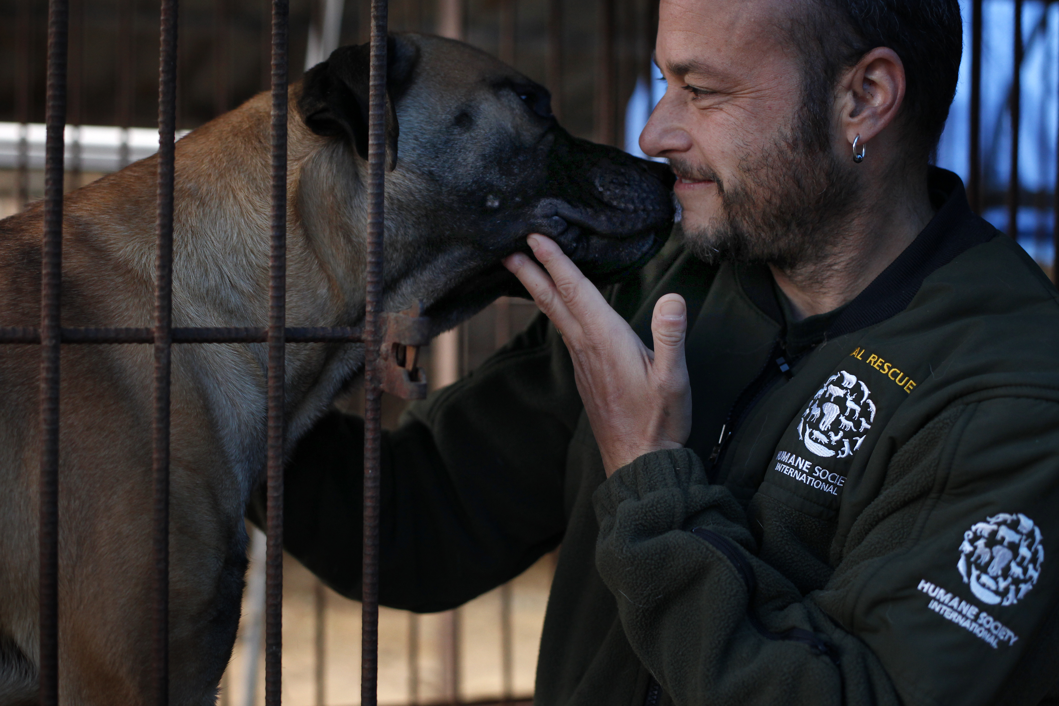 IMAGE DISTRIBUTED FOR THE HUMANE SOCIETY OF THE UNITED STATES - Adam Parascandola, director of animal protection and crisis response for Humane Society International, interacts with Julius at a dog meat farm in Wonju, South Korea on Monday, Nov. 21, 2016. HSI provided all 150 dogs with vaccinations and warm bedding, and is in the process of closing down the farm and rescuing the dogs. HSI is the leading animal welfare organization working to end Asias dog meat trade, including in South Korea where around 17,000 farms breed up to 2.5 million dogs for human consumption annually. More information is available at www.hsi.org/dogmeat. (Woohae Cho/AP Images for The Humane Society of the United States)