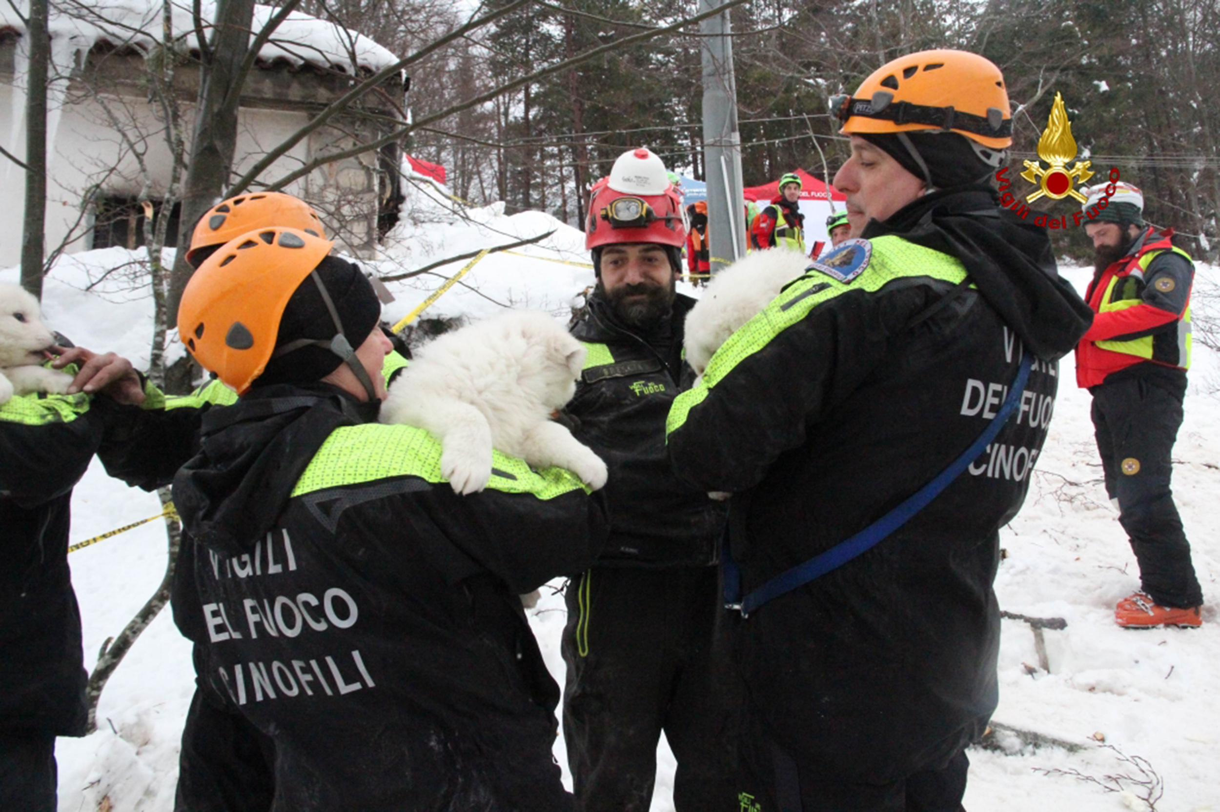 A handout picture released on January 23, 2017 by the Italian Firemen "Vigili del Fuoco" shows firemen carrying puppies found at the avalanche-hit Hotel Rigopiano, near the village of Farindola, on the eastern lower slopes of the Gran Sasso mountain. Fireman Fabio Jerman said three puppies had been found alive today in one of the air pockets under the rubble, which he said was "an important sign of life which gives us hope". Italian rescuers pulled nine survivors from the hotel hit by an avalanche on January 18, 2016 and continue to search the 23 people still trapped under the ruins. A sixth victim was pulled out of the rubble and snow yesterday. / AFP PHOTO / AFP PHOTO AND Vigili del Fuoco / Fabio GATTO / RESTRICTED TO EDITORIAL USE - MANDATORY CREDIT "AFP PHOTO / VIGILI DEL FUOCO " - NO MARKETING NO ADVERTISING CAMPAIGNS - DISTRIBUTED AS A SERVICE TO CLIENTS