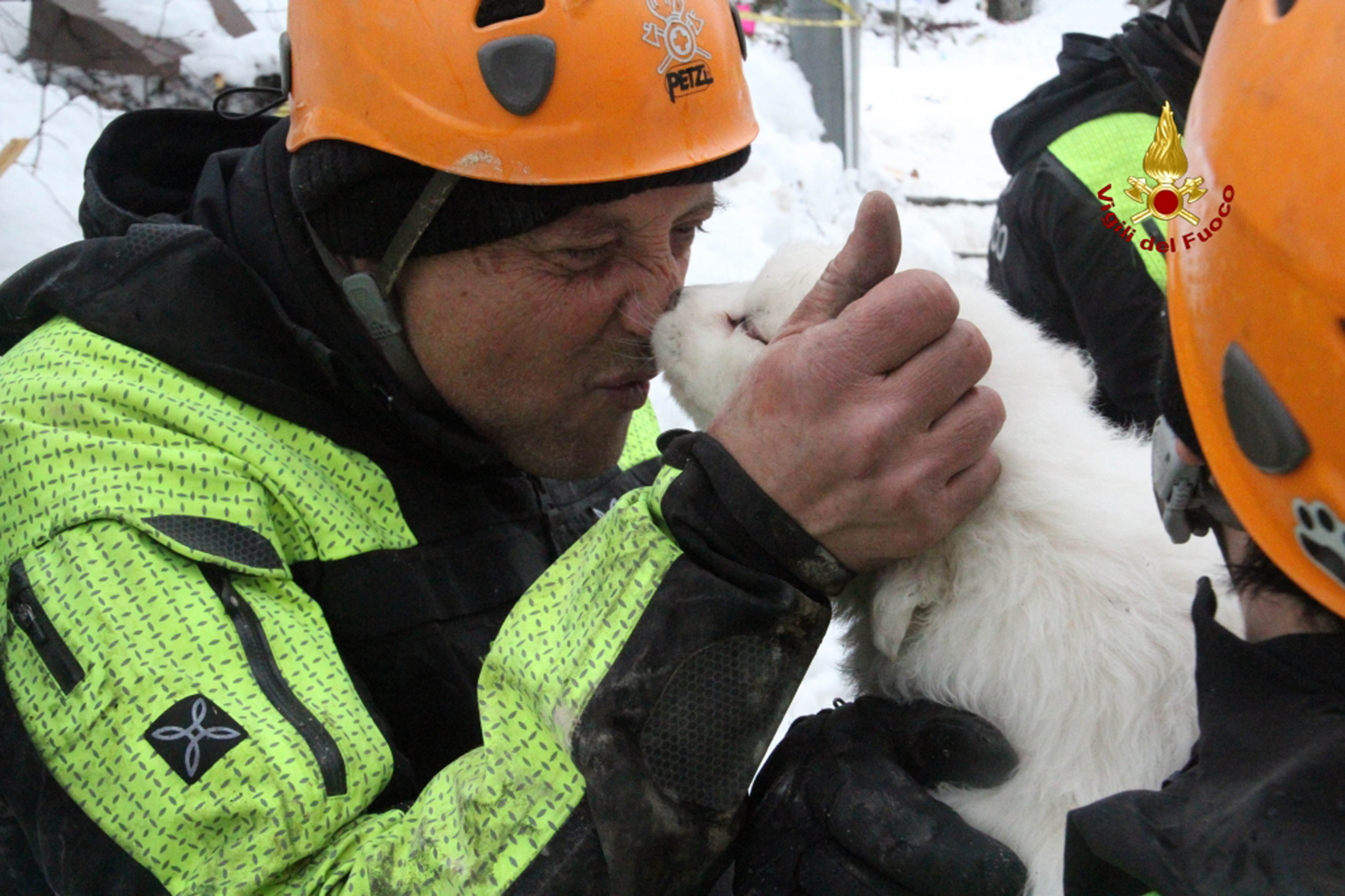 A handout picture released on January 23, 2017 by the Italian Firemen "Vigili del Fuoco" shows a fireman playing with a puppy found at the avalanche-hit Hotel Rigopiano, near the village of Farindola, on the eastern lower slopes of the Gran Sasso mountain. Fireman Fabio Jerman said three puppies had been found alive today in one of the air pockets under the rubble, which he said was "an important sign of life which gives us hope". Italian rescuers pulled nine survivors from the hotel hit by an avalanche on January 18, 2016 and continue to search the 23 people still trapped under the ruins. A sixth victim was pulled out of the rubble and snow yesterday. / AFP PHOTO / AFP PHOTO AND Vigili del Fuoco / Fabio GATTO / RESTRICTED TO EDITORIAL USE - MANDATORY CREDIT "AFP PHOTO / VIGILI DEL FUOCO " - NO MARKETING NO ADVERTISING CAMPAIGNS - DISTRIBUTED AS A SERVICE TO CLIENTS