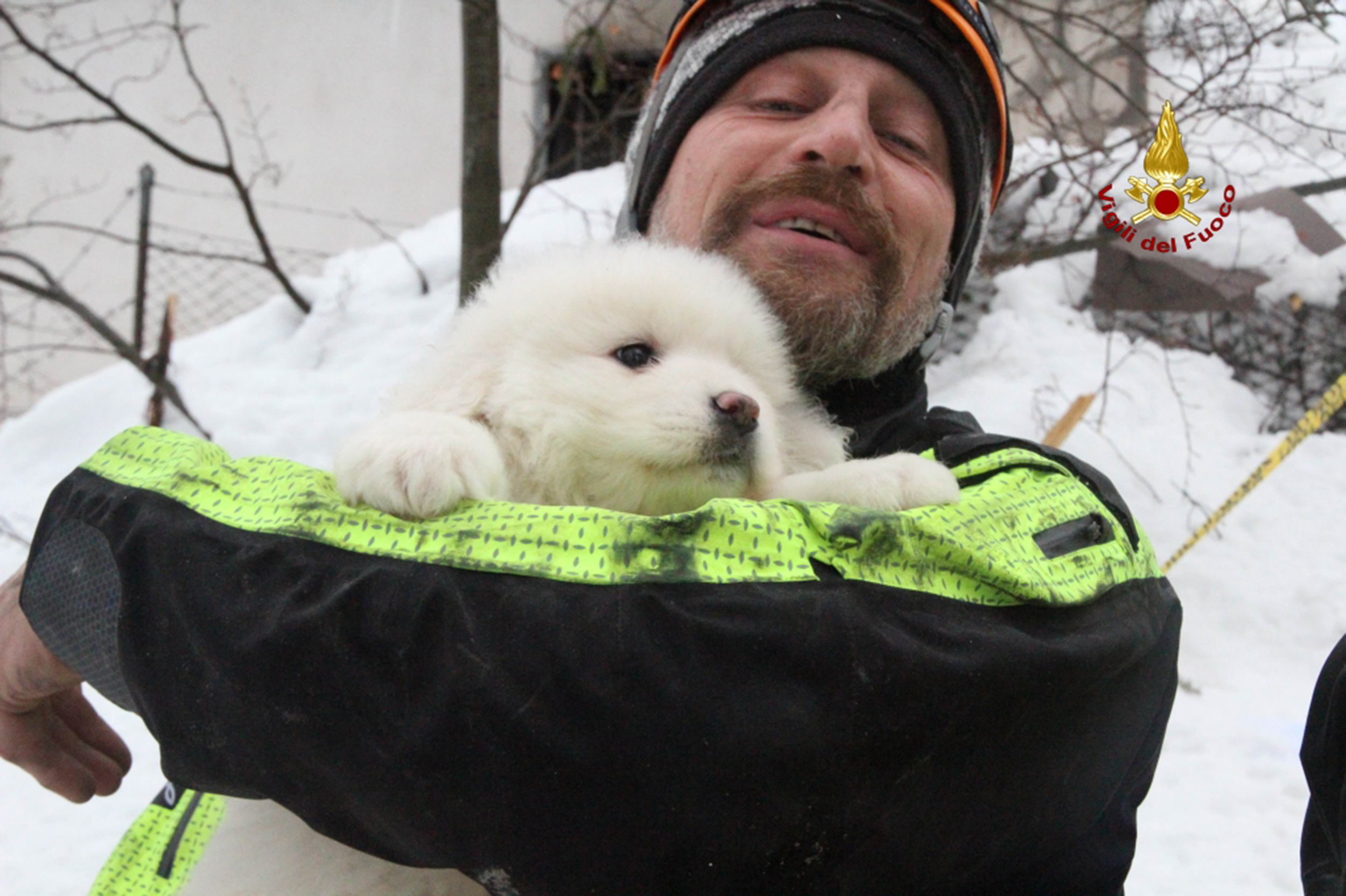 A handout picture released on January 23, 2017 by the Italian Firemen "Vigili del Fuoco" shows a fireman carrying a puppy found at the avalanche-hit Hotel Rigopiano, near the village of Farindola, on the eastern lower slopes of the Gran Sasso mountain. Fireman Fabio Jerman said three puppies had been found alive today in one of the air pockets under the rubble, which he said was "an important sign of life which gives us hope". Italian rescuers pulled nine survivors from the hotel hit by an avalanche on January 18, 2016 and continue to search the 23 people still trapped under the ruins. A sixth victim was pulled out of the rubble and snow yesterday. / AFP PHOTO / AFP PHOTO AND Vigili del Fuoco / Fabio GATTO / RESTRICTED TO EDITORIAL USE - MANDATORY CREDIT "AFP PHOTO / VIGILI DEL FUOCO " - NO MARKETING NO ADVERTISING CAMPAIGNS - DISTRIBUTED AS A SERVICE TO CLIENTS