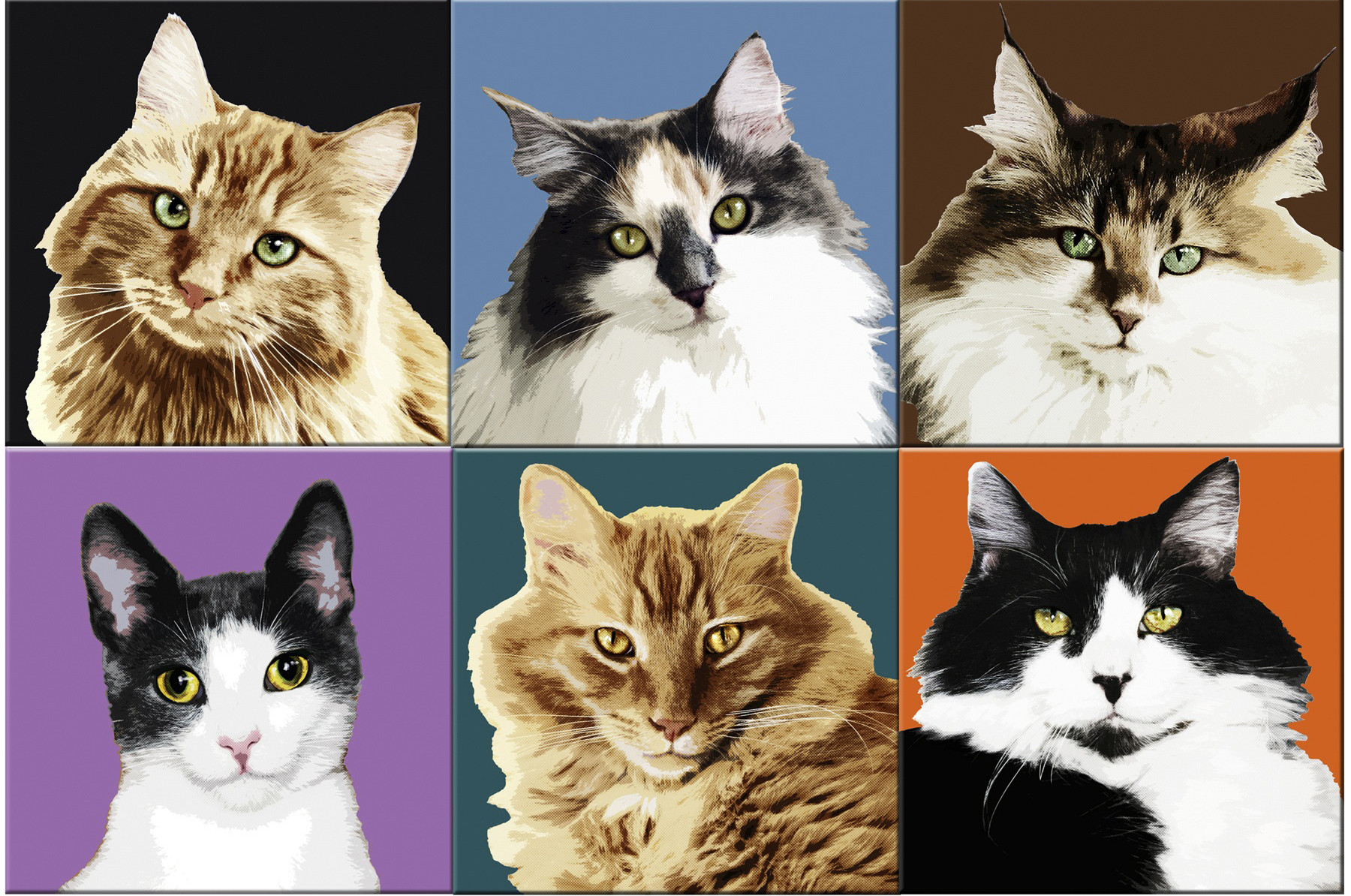 This undated image courtesy of Kim Curinga shows "Cat Portraits," by Curinga. Curinga shot a series of feline portraits and manipulated them in Photoshop to look like pop art. One of the hottest trends in home decor is hanging photographic art, which makes a big impact without costing a lot.      (AP Photo/Kim Curinga ) NO SALES