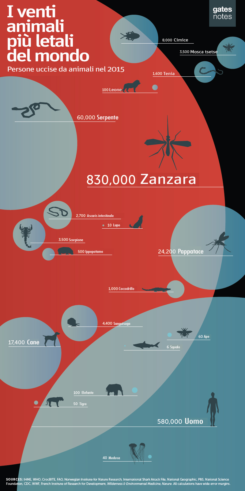 Negli ultimi 25 anni, quale creatura ha ucciso più umani annualmente?