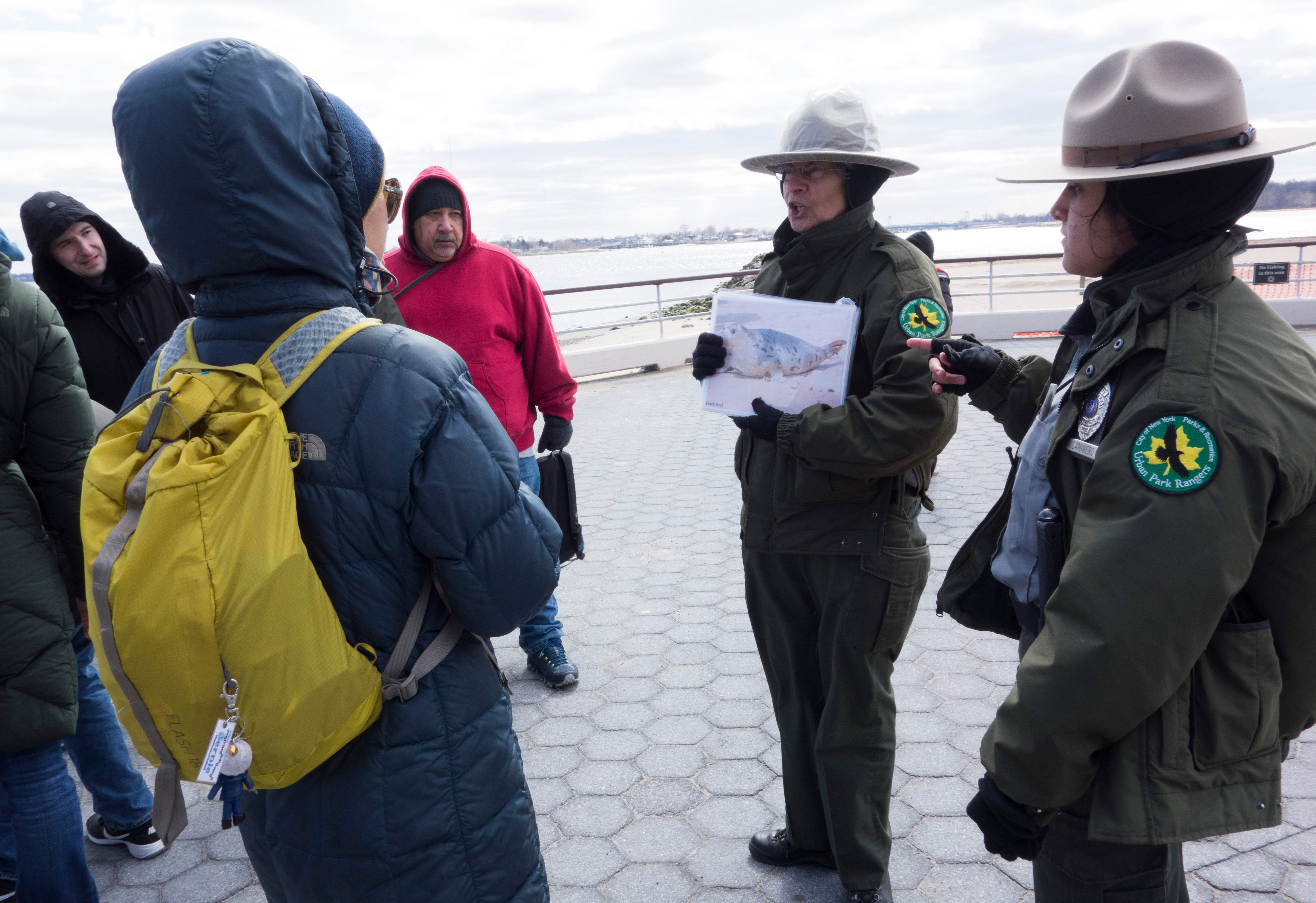 New York City Park Rangers Adriana Caminero (R) and A. Duran (C) explain to wildlife enthusiasts the types of seals they'll be looking for March 10, 2018 near Orchard Beach in New York.      From coyotes in the Bronx to red foxes in Queens, raccoons in Manhattan, owls in Brooklyn and deer in Staten Island, wildlife roams the urban jungle of New York. But coexistence is not always easy between millions of wild animals and 8.5 million humans. / AFP PHOTO / Don EMMERT / With AFP Story  by Laura BONILLA: Take a walk on New York's wild side