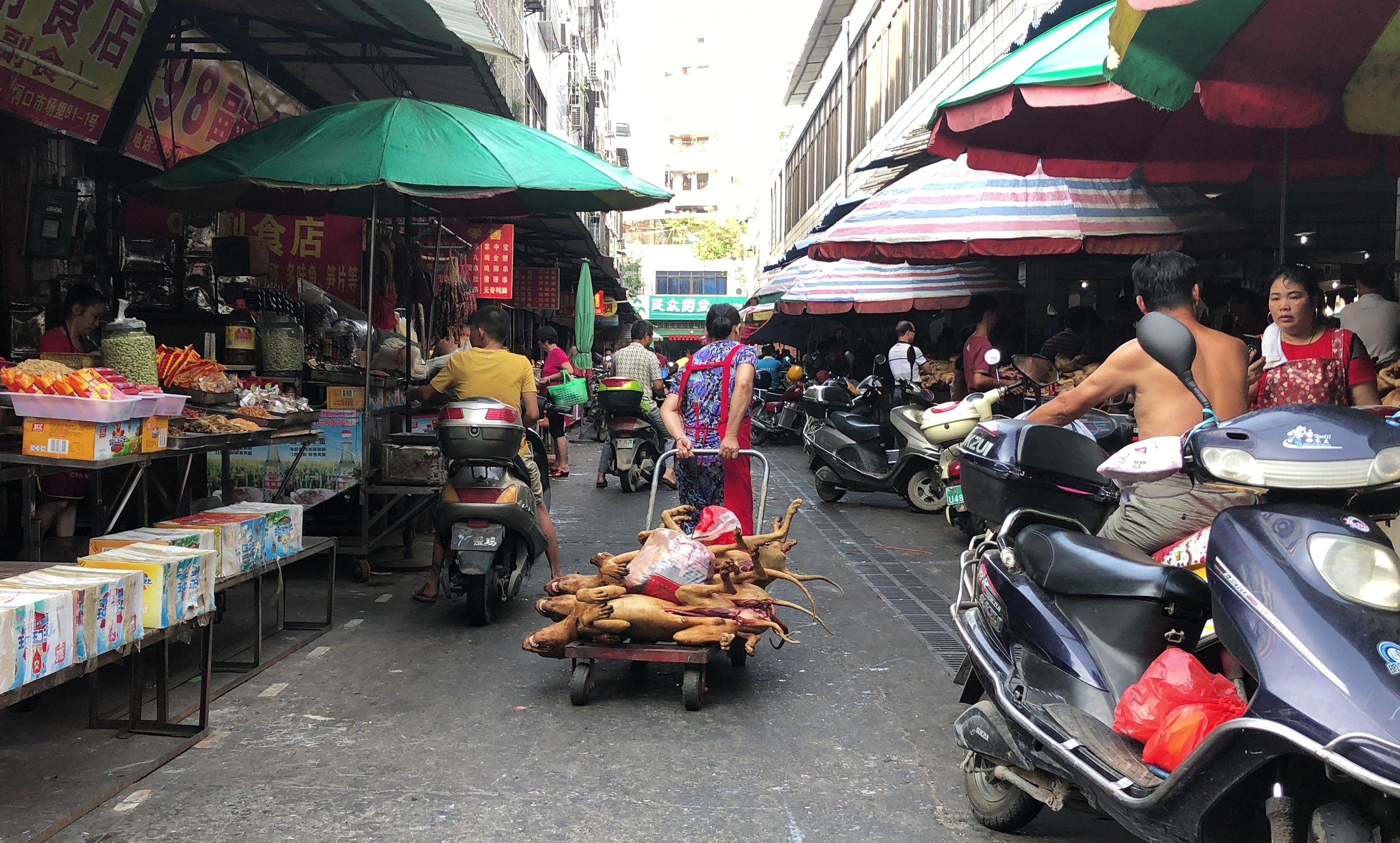 This photo taken on June 20, 2018 shows a vendor pulling a trolley with dog meat piled on top at the Dongkou market in Yulin in China's southern Guangxi, ahead of the Yulin dog meat festival which opens on June 21. The festival in the southwestern town of Yulin has long drawn international criticism, with thousands of dogs traditionally being killed during the event. / AFP PHOTO / PAK YIU