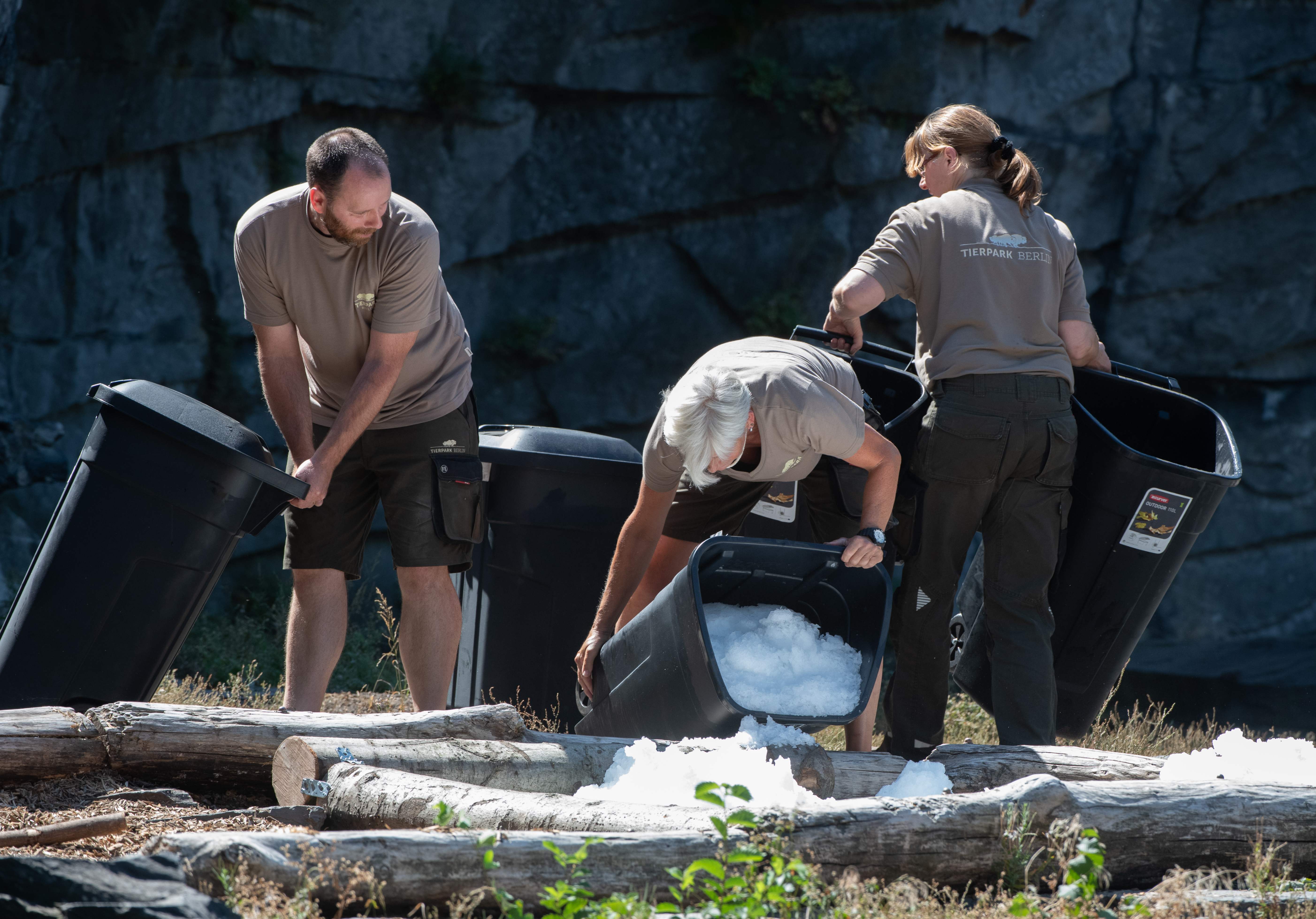 Zookeepers prepare an ice bath for ice bear Tonja at the zoo in Berlin, on August 7, 2018 as the heatwave in Europe continues. / AFP PHOTO / dpa / Paul Zinken / Germany OUT