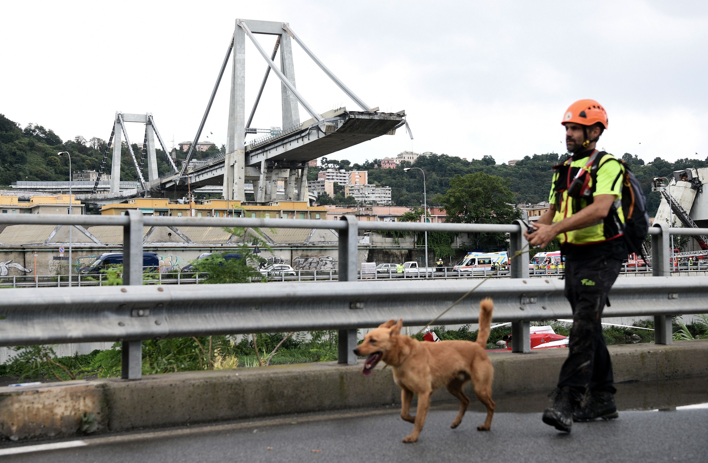 A rescuer walks with a dog near the Morandi motorway bridge after a section of the bridge collapsed earlier in Genoa on August 14, 2018. - At least 30 people were killed on August 14 when the giant motorway bridge collapsed in Genoa in northwestern Italy. The collapse, which saw a vast stretch of the A10 freeway tumble on to railway lines in the northern port city, was the deadliest bridge failure in Italy for years, and the country's deputy transport minister warned the death toll could climb further. (Photo by PIERO CRUCIATTI / AFP)