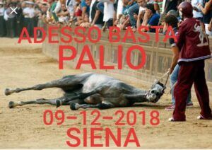 palio_no9_12_2018