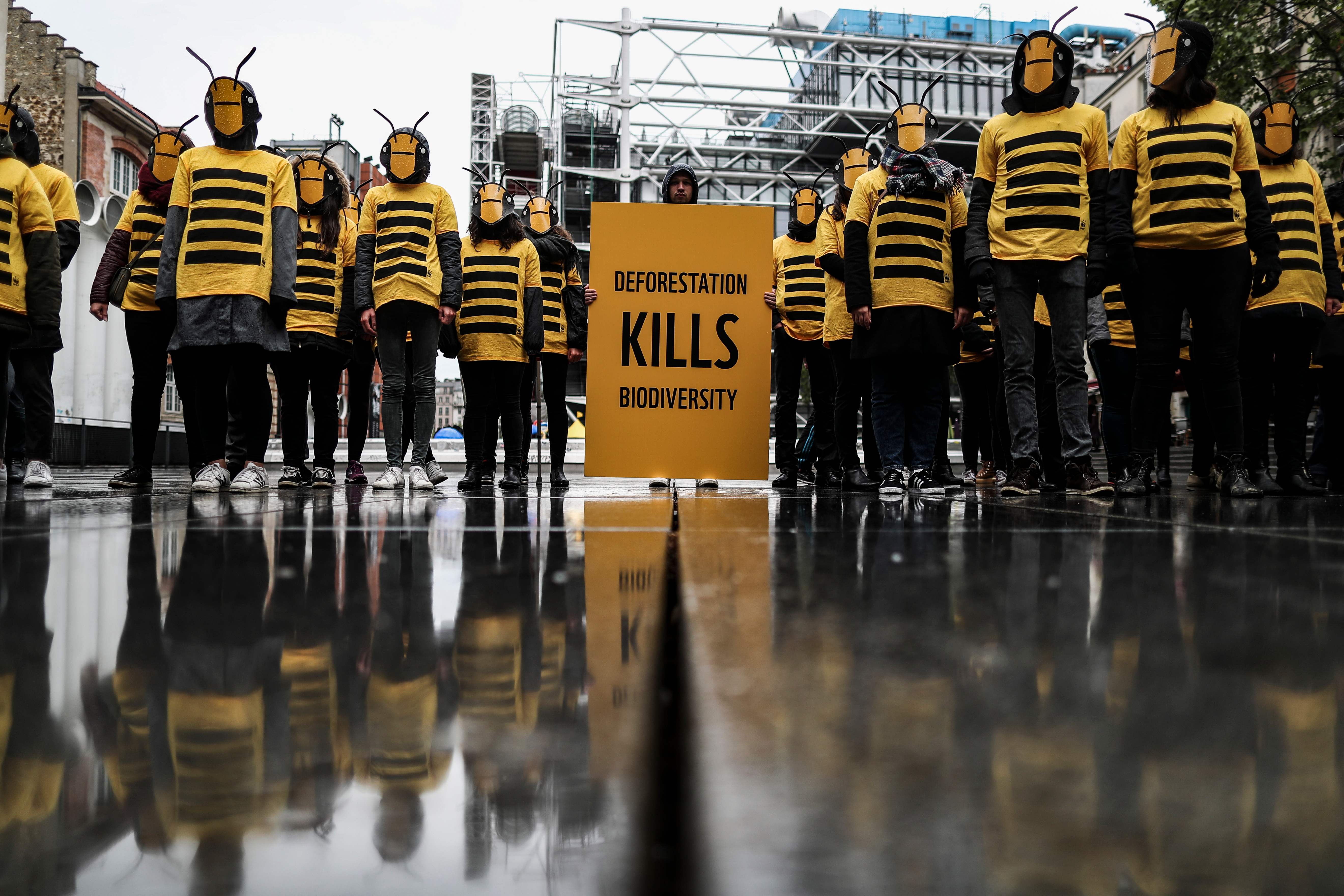 Demonstrators stand wearing bees masks and costumes during a demonstration for biodiversity called by the World Wildlife Fund for Nature (WWF) on May 4, 2019 in Paris. (Photo by KENZO TRIBOUILLARD / AFP)