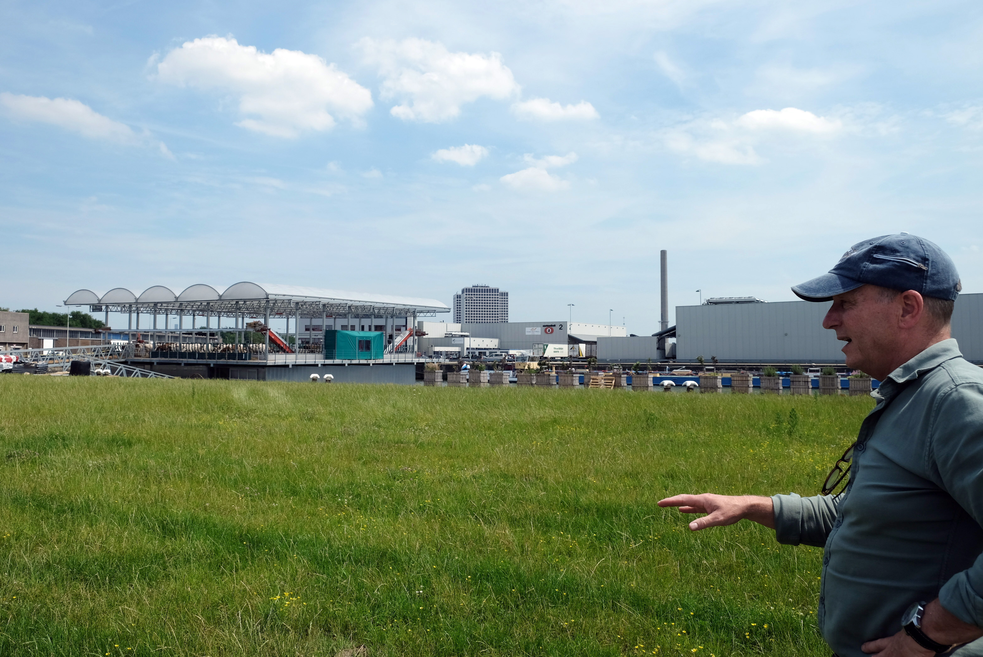 In this photo taken Monday, June 24, 2019, Peter van Wingerden talks about his farming project, seen back left, a futuristic three-storey floating farm moored in Rotterdam harbour, Netherlands, which uses waste products from local industries to sustain its green credentials. The floating dairy farm has one robot that milks the cows, another that automatically scoops up the manure, and a roof designed to collect rain water, making it a sustainable inner-city producer of dairy foods aimed at feeding future generations of city dwellers, according to the small holding farmer Peter van Wingerden. (AP Photo/Mike Corder)