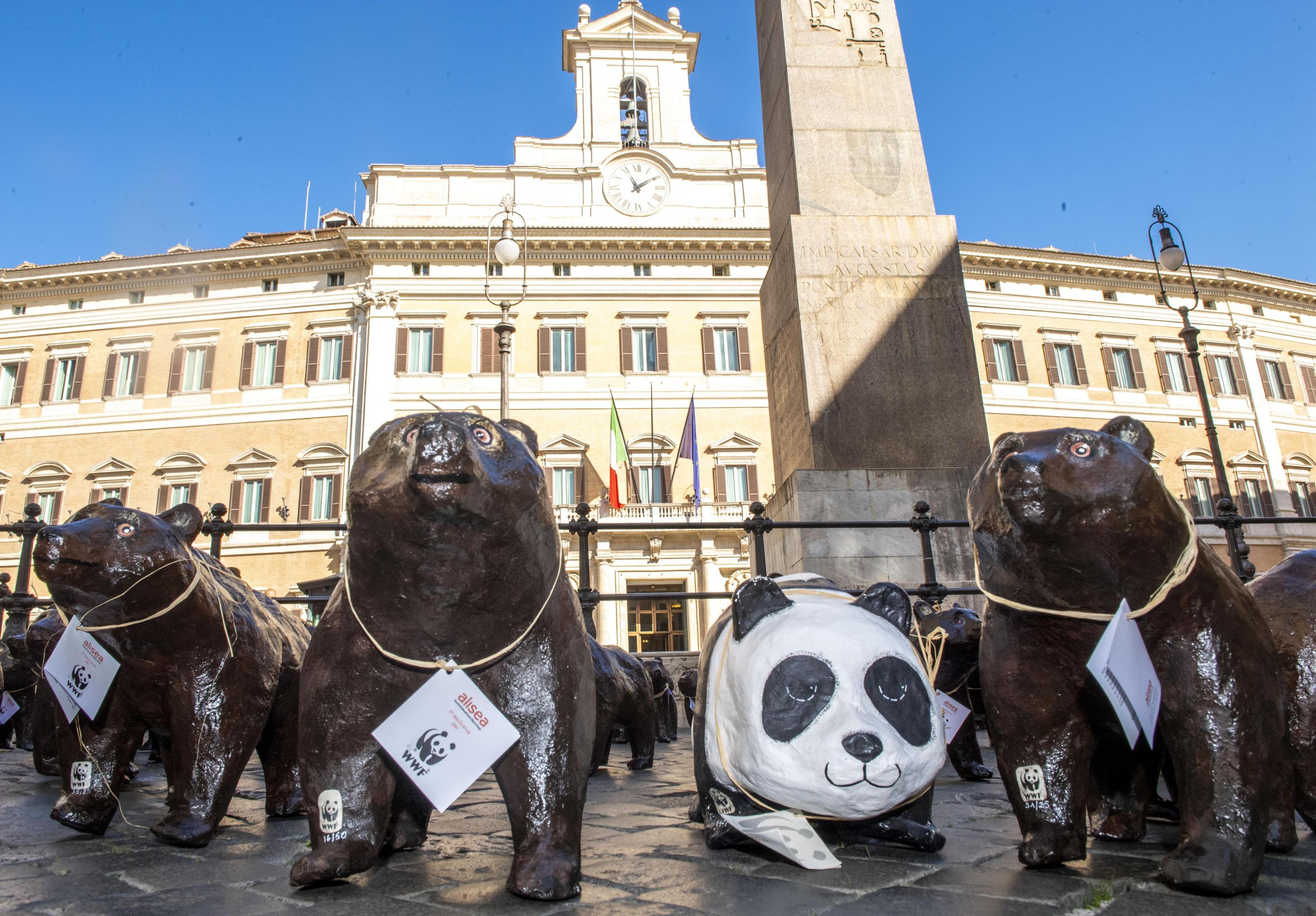Cinquanta orsi marsicani di cartapesta in piazza Montecitorio, durante il sit-in per chiedere una legge per la tutela e il ripopolamento della specie, Roma, 11 ottobre 2019. ANSA/CLAUDIO PERI