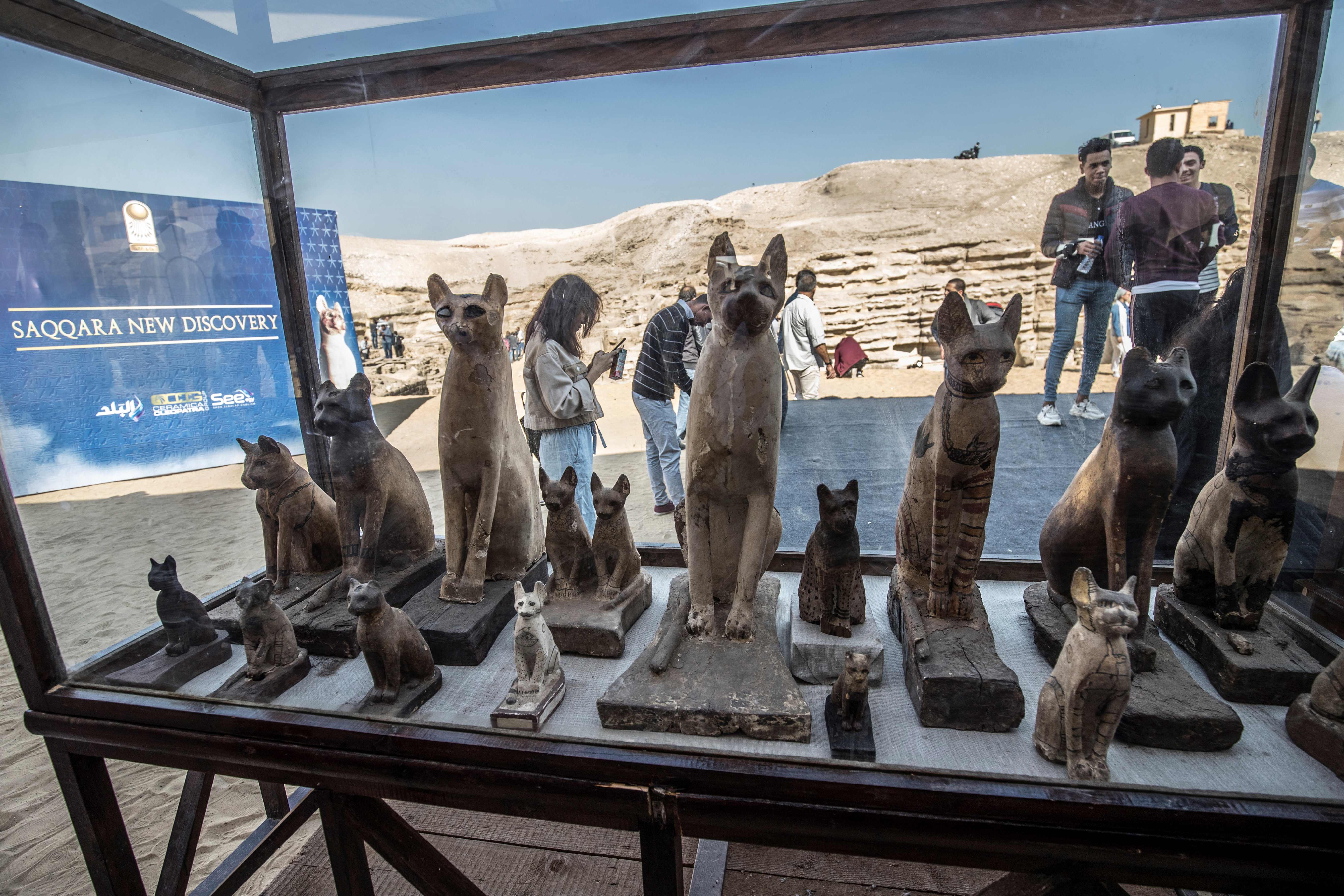 Statues of cats are displayed after the announcement of a new discovery carried out by an Egyptian archaeological team in Giza's Saqqara necropolis, south of the capital Cairo, on November 23, 2019. - Egypt today unveiled a cache of 75 wooden and bronze statues and five lion cub mummies decorated with hieroglyphics at the Saqqara necropolis near the Giza pyramids in Cairo. Mummified cats, cobras, crocodiles and scarabs were also unearthed among the well-preserved mummies and other objects discovered recently. (Photo by Khaled DESOUKI / AFP)