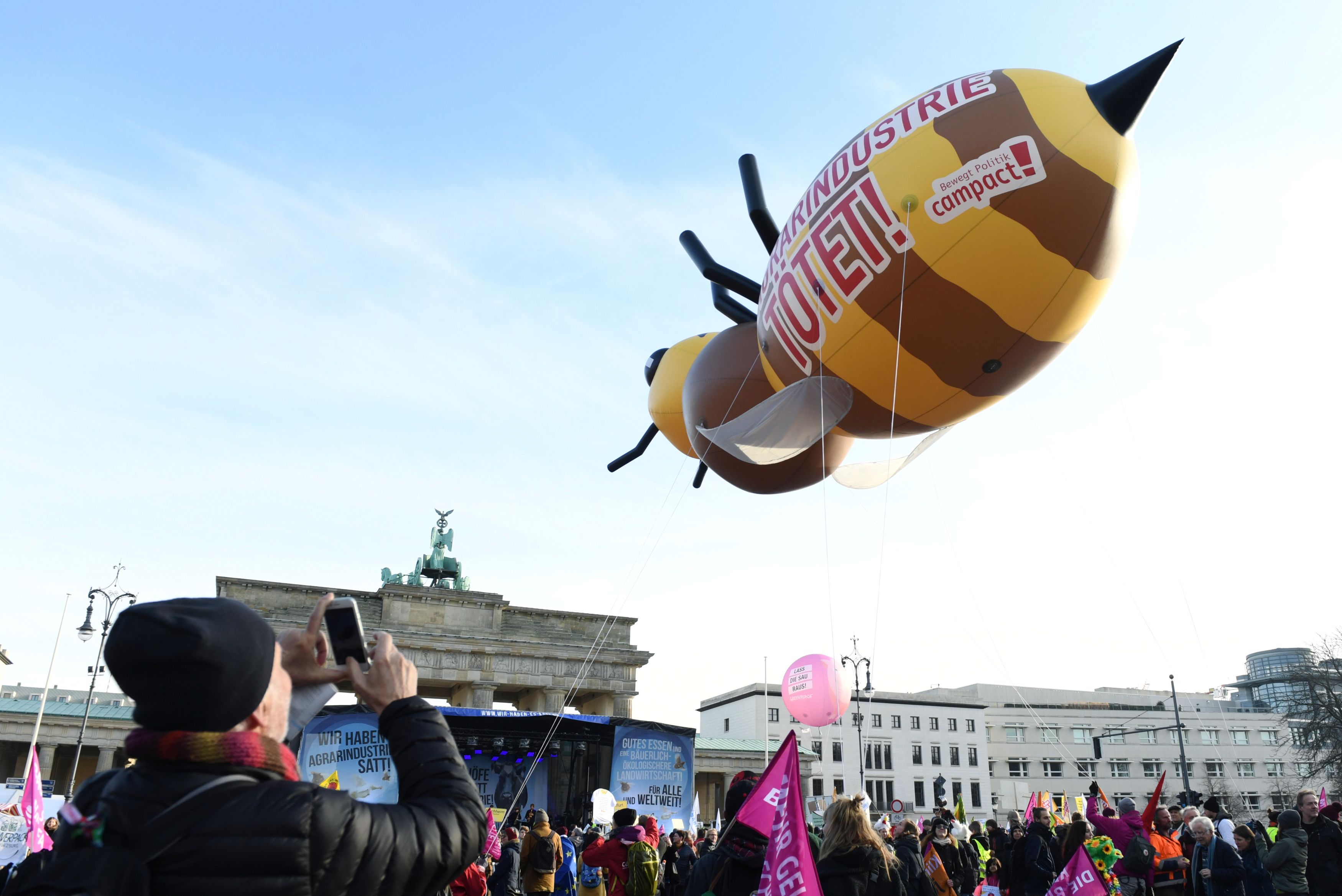 A bee balloon is seen during a demonstration against the government's agricultural policies at the start of the International Green Week agriculture and food fair in Berlin, Germany, January 18, 2020. REUTERS/Annegret Hilse