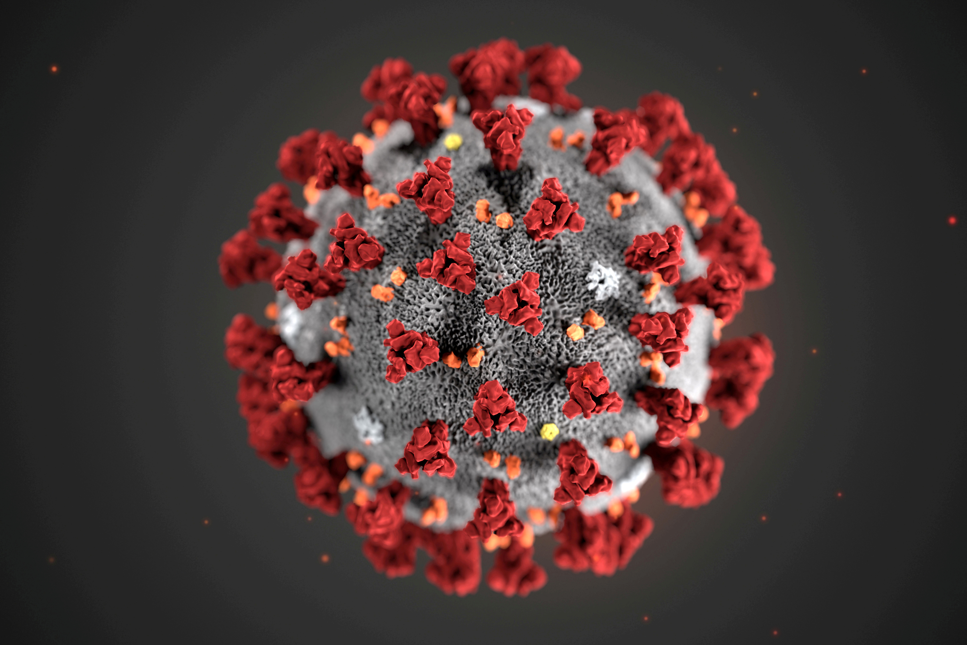 The ultrastructural morphology exhibited by the 2019 Novel Coronavirus (2019-nCoV), which was identified as the cause of an outbreak of respiratory illness first detected in Wuhan, China, is seen in an illustration released by the Centers for Disease Control and Prevention (CDC) in Atlanta, Georgia, U.S. January 29, 2020. Alissa Eckert, MS; Dan Higgins, MAM/CDC/Handout via REUTERS. THIS IMAGE HAS BEEN SUPPLIED BY A THIRD PARTY. THIS IMAGE WAS PROCESSED BY REUTERS TO ENHANCE QUALITY, AN UNPROCESSED VERSION HAS BEEN PROVIDED SEPARATELY.MANDATORY CREDIT