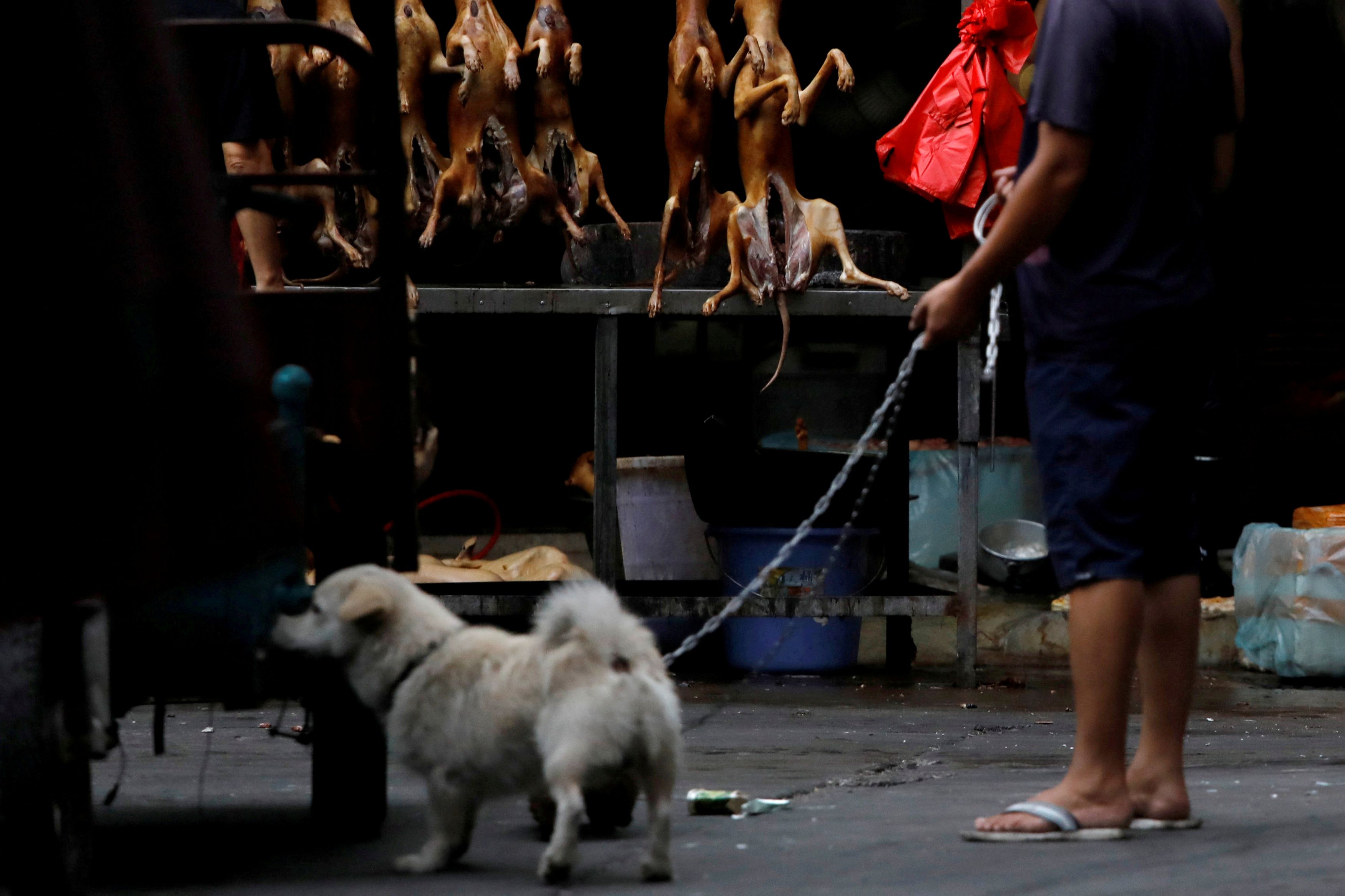 FILE PHOTO: A man walks with his pet dog as he talks to a vendor who sells dog meat at a market during the local dog meat festival in Yulin, Guangxi Autonomous Region, China June 21, 2018. REUTERS/Tyrone Siu/File Photo