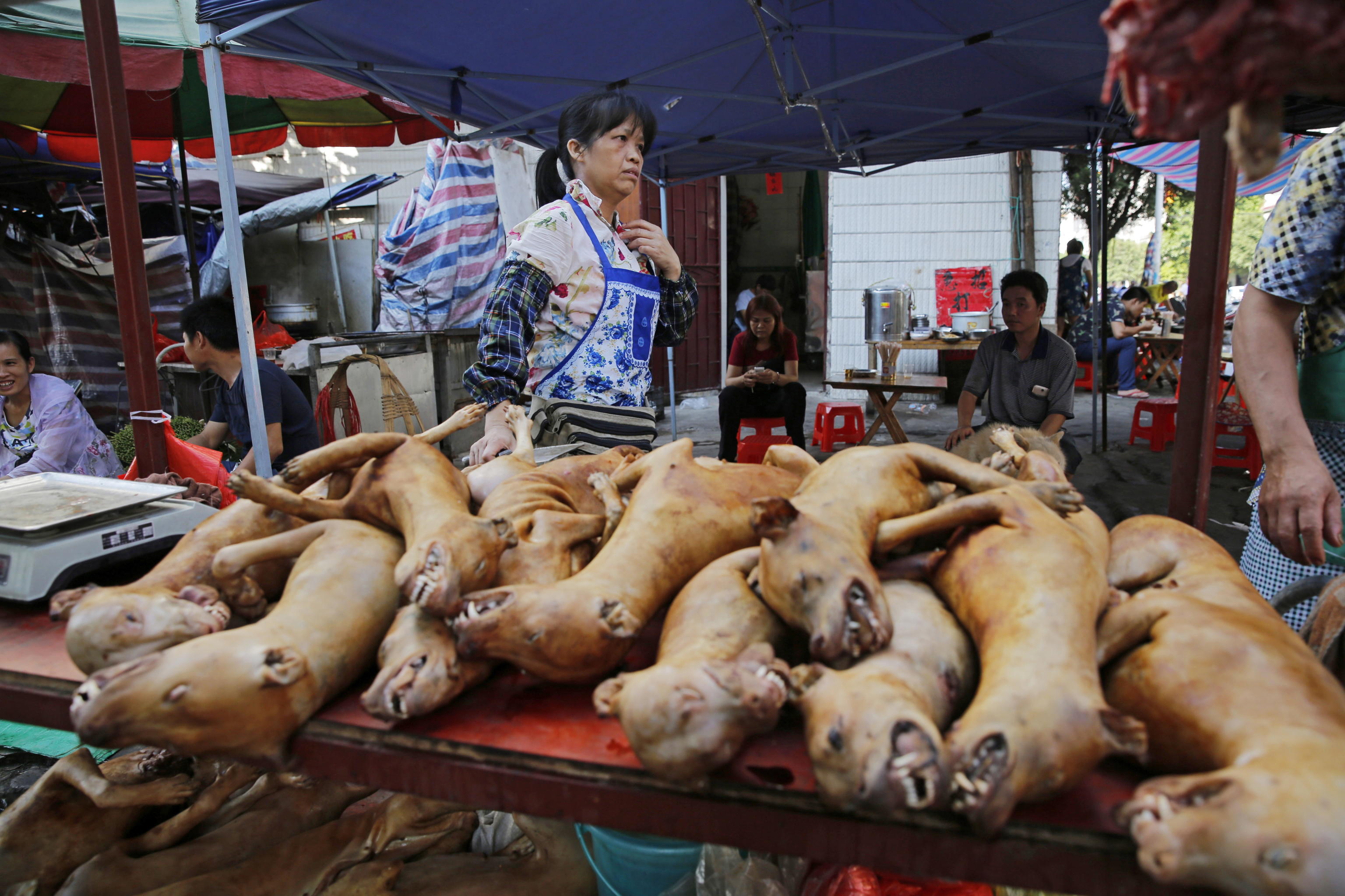 epa08338256 (FILE) - Dog meat for sale at a market during the Dog Meat Festival in Yulin city, Guangxi province, China, 21 June 2016 (reissued 02 April 2020). Authorities have banned the consumption of cat and dog meet in the southern Chinese city of Shenzen starting 01 May 2020. EPA/WU HONG *** Local Caption *** 52841760