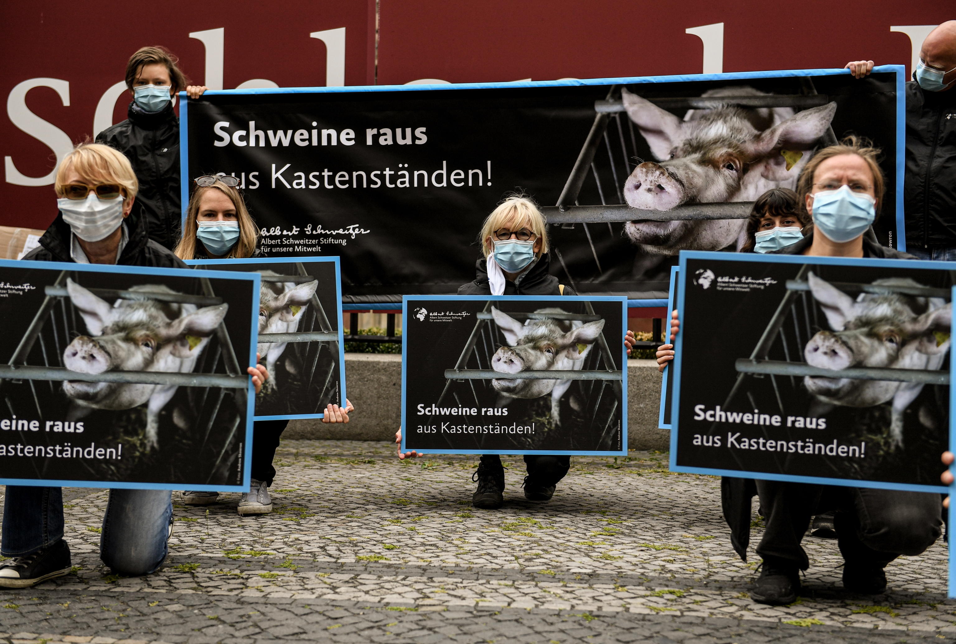 epa08466360 Animal activists hold a placards reading 'pigs out of the cages' during a protest against the use of gestation crates in pig farming infornt of the German Bundesrat (German Federal Council) in Berlin, Germany, 05 June 2020. The Federal Council removed a draft regulation from the German Federal Government on pig farming from the agenda at short notice, on 05 June. There was therefore no decision on the government's plans to re-regulate the so-called caste position.  EPA/FILIP SINGER