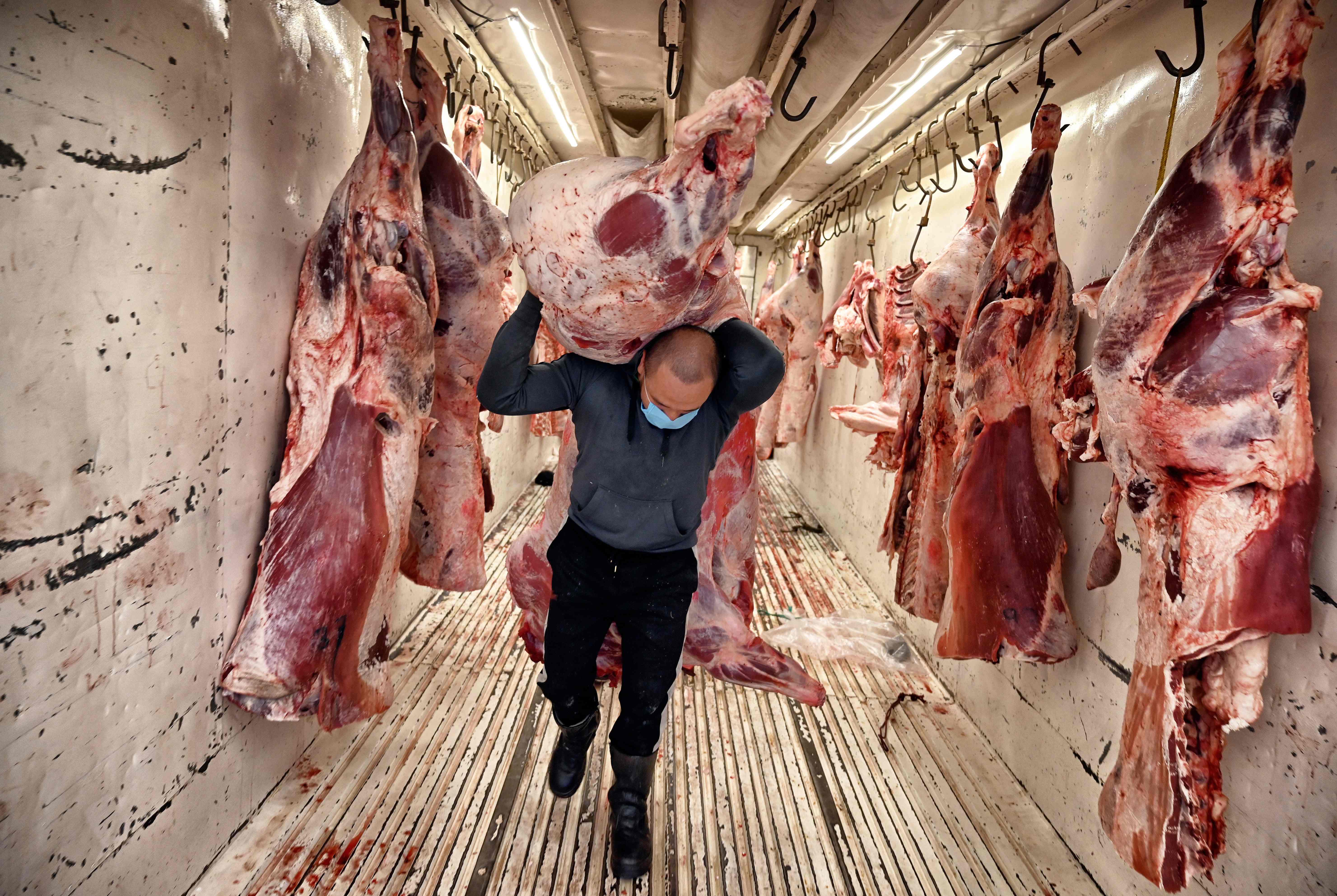 A worker carries a half carcass inside a container truck at the Minillas Meat Market in Mexico City on July 3, 2020 as Mexico authorized the reopening of restaurants, shops, street markets and sport complexes but with limited capacity and hours amid the COVID-19 novel coronavirus pandemic. (Photo by Alfredo ESTRELLA / AFP)