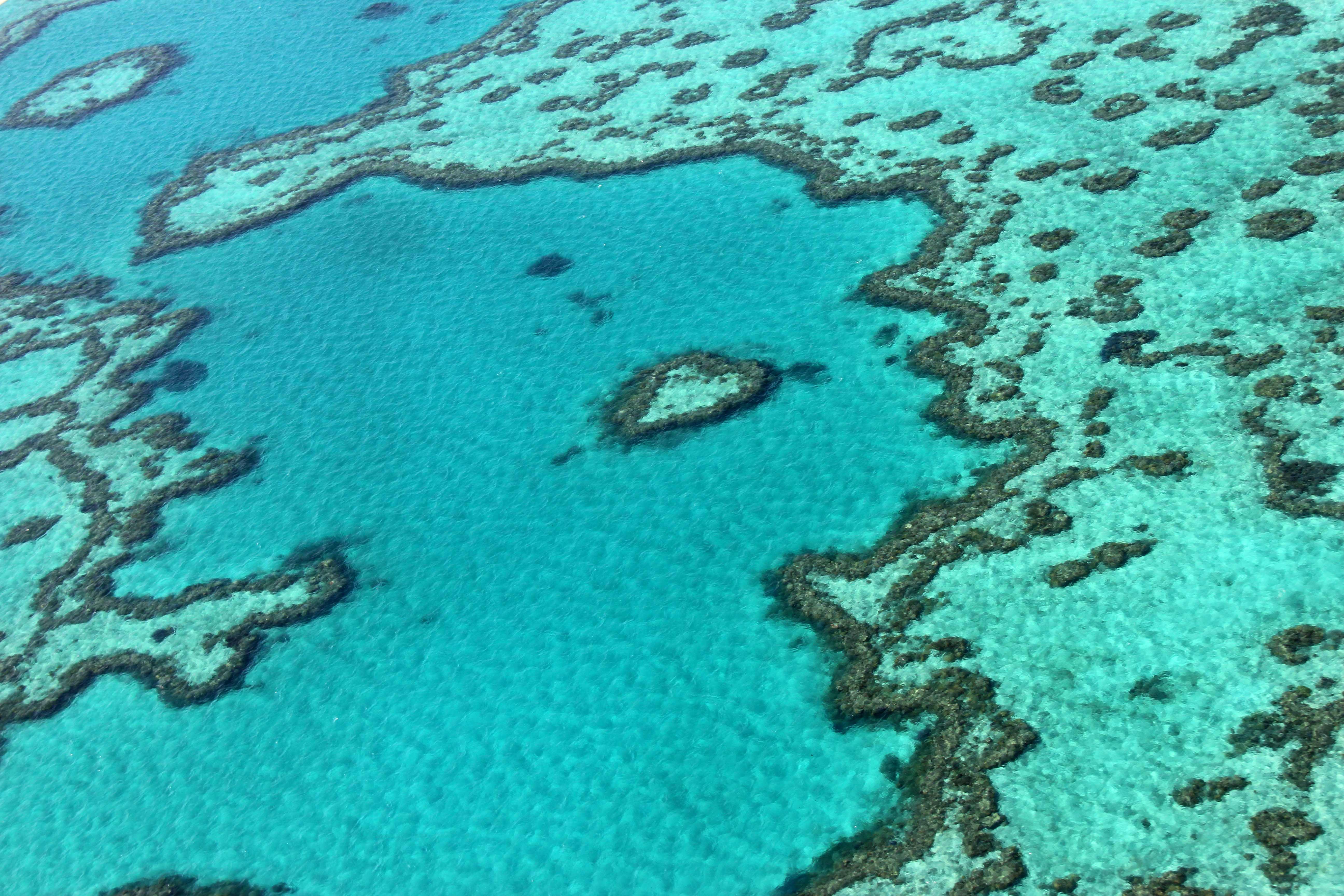 (FILES) This file photo taken on November 20, 2014, shows an aerial view of the Great Barrier Reef off the coast of the Whitsunday Islands, along the central coast of Queensland. - Climate change has become the biggest threat to UN-listed natural world heritage sites like glaciers and wetlands, and has pushed Australia's Great Barrier Reef into "critical" condition, conservationists said December 2, 2020. (Photo by Sarah LAI / AFP)