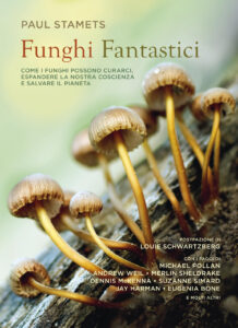 cover funghi