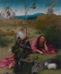 San Giovanni Battista in meditazione, di Hieronymus Bosch, Museo Lázaro Galdiano di Madrid.
