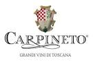 logo Carpineto
